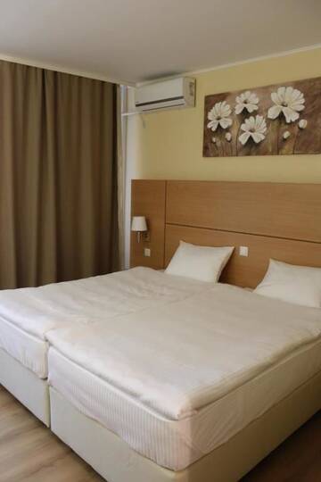 Фото номера Двухместный номер с 1 кроватью Отель Alpen Hotel г. Святогорск 4